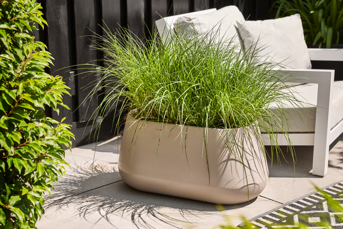 pure cone long wheels 75 balanced beige